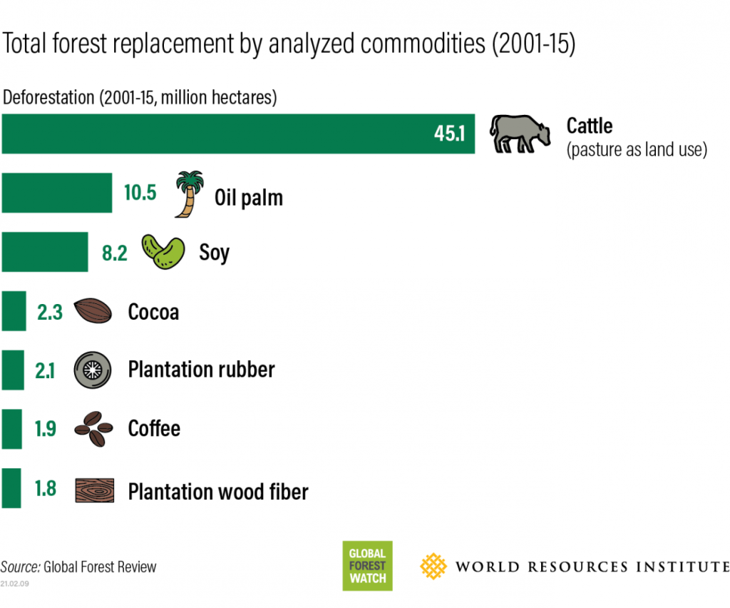 Impact of deforestation